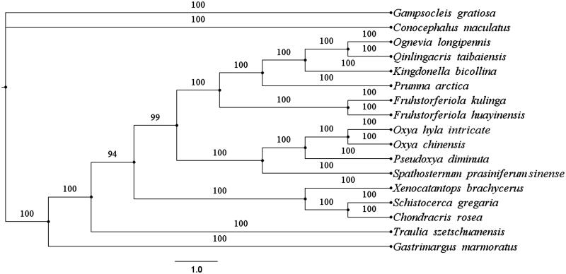 Figure 1.