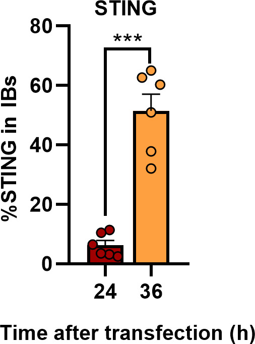 Figure 6—figure supplement 1.