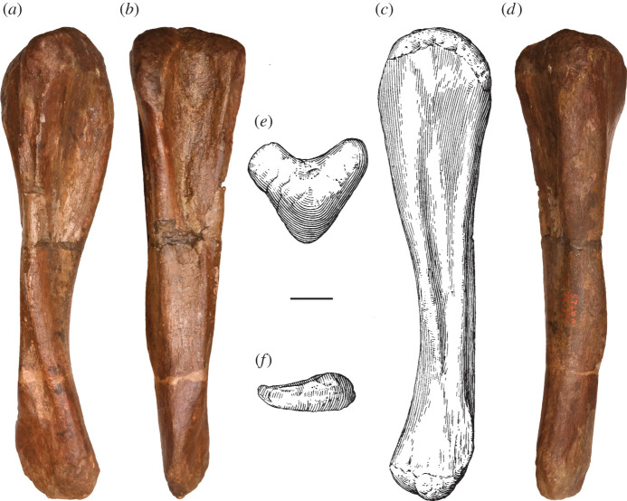 Figure 11. 