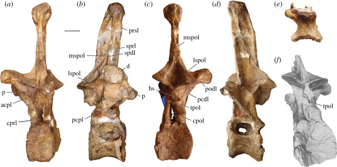 Figure 5. 