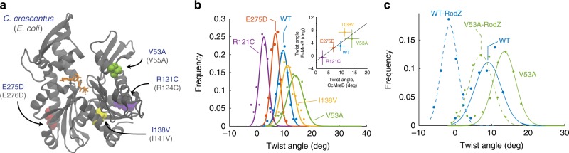 Fig. 4