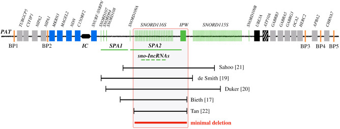 Figure 7.