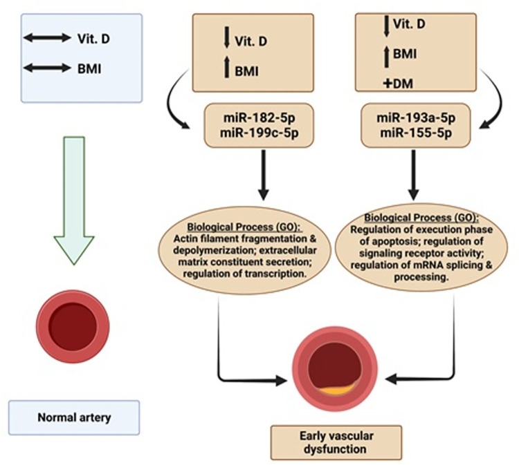 Fig 6