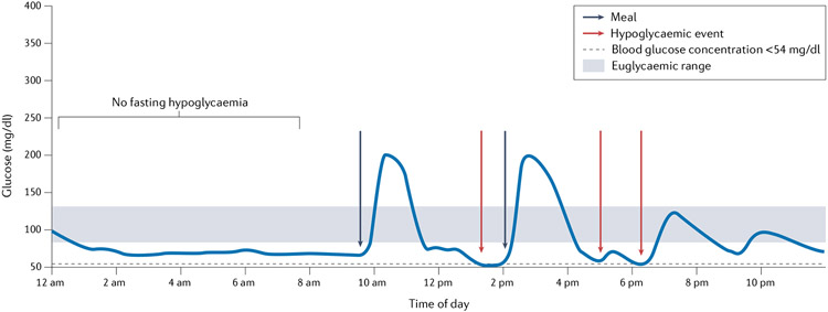 Fig. 4 ∣