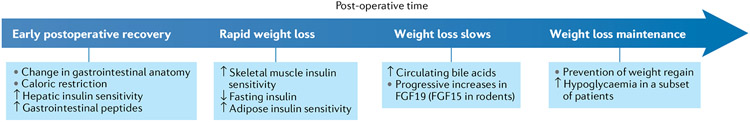 Fig. 5 ∣