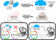 Graphical Abstract