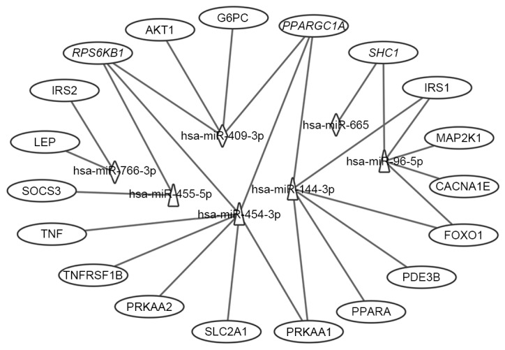 Figure 6.