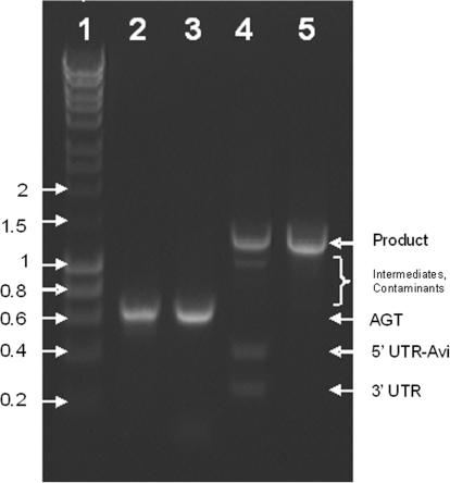 Figure 4.