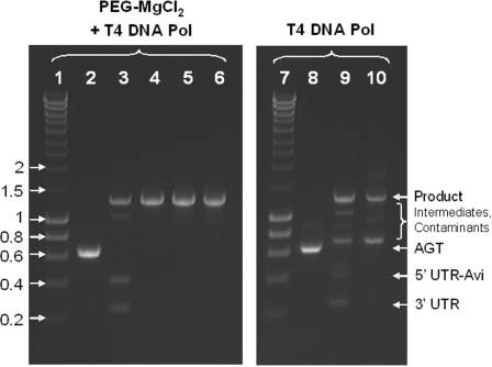 Figure 2.