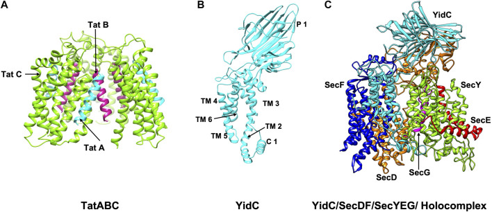 FIGURE 3