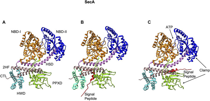 FIGURE 5