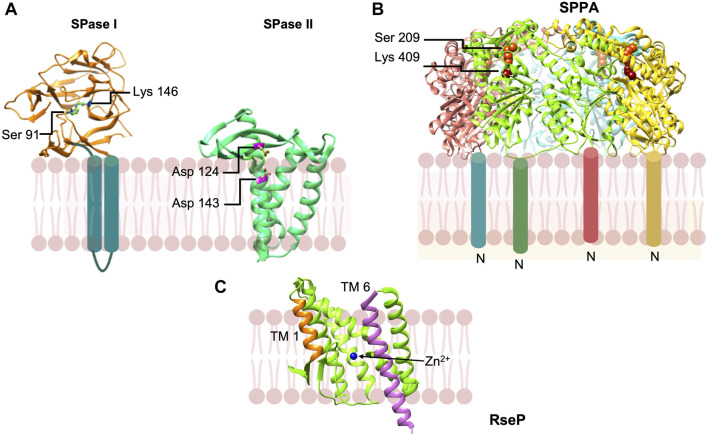 FIGURE 9