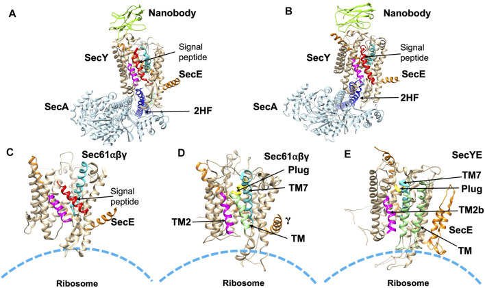 FIGURE 6