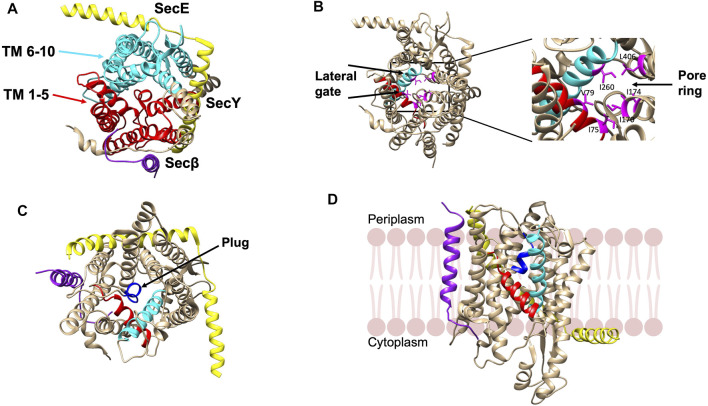 FIGURE 4