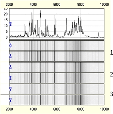 Fig. 3