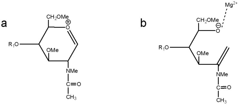 Scheme 5