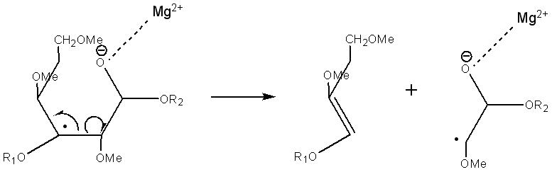 Scheme 6