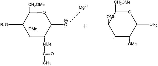 Scheme 3