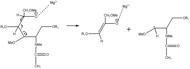 Scheme 8