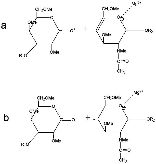 Scheme 4