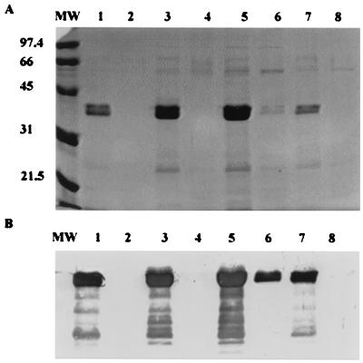 FIG. 6