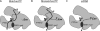 FIGURE 8.