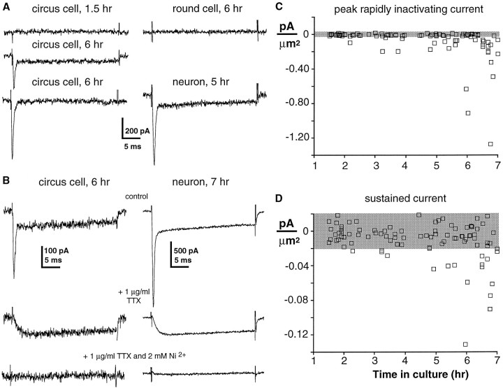 Fig. 7.