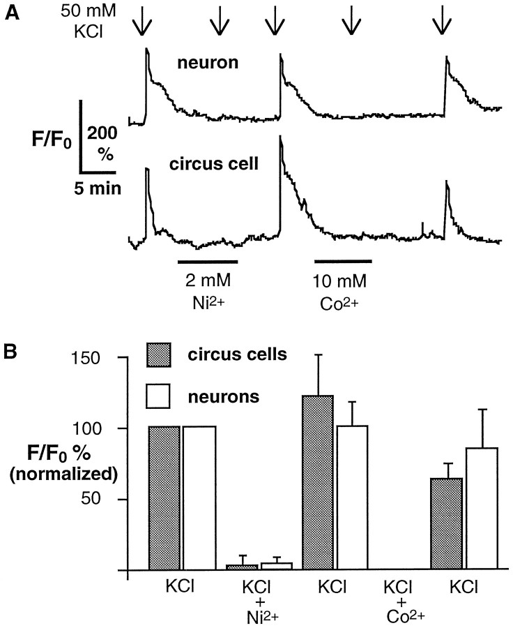 Fig. 8.