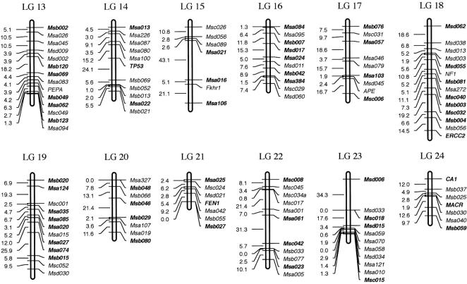 Figure 4.—