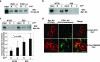 FIG. 9.