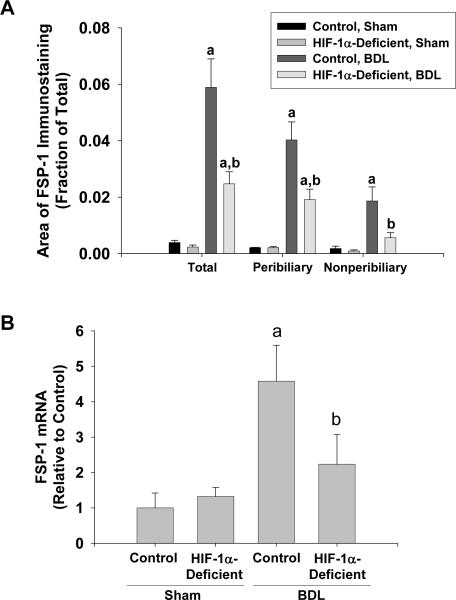 Fig. 12