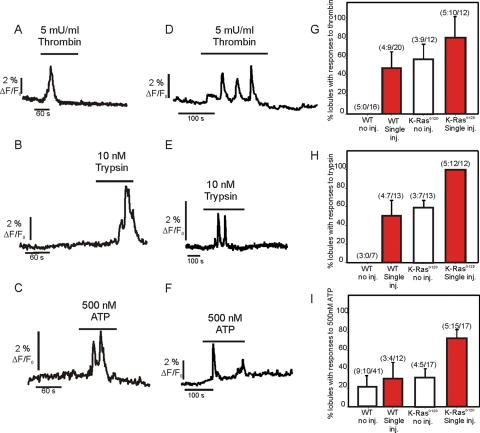 FIGURE 12: