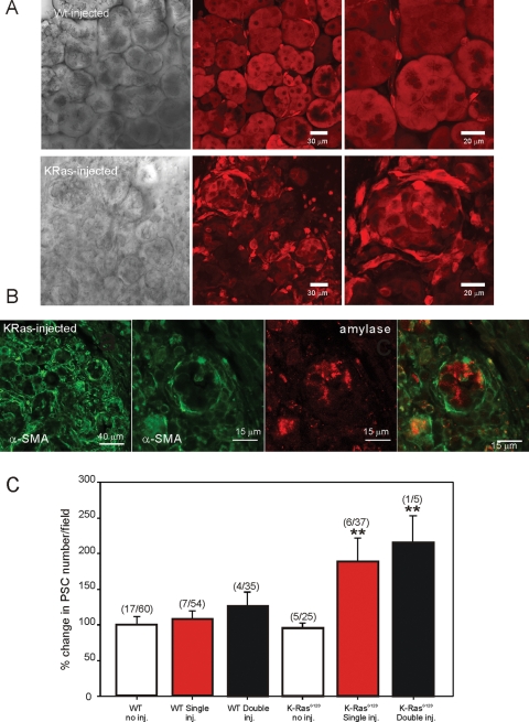 FIGURE 11: