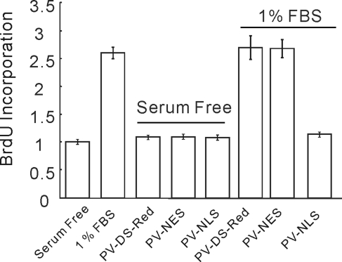 FIGURE 9: