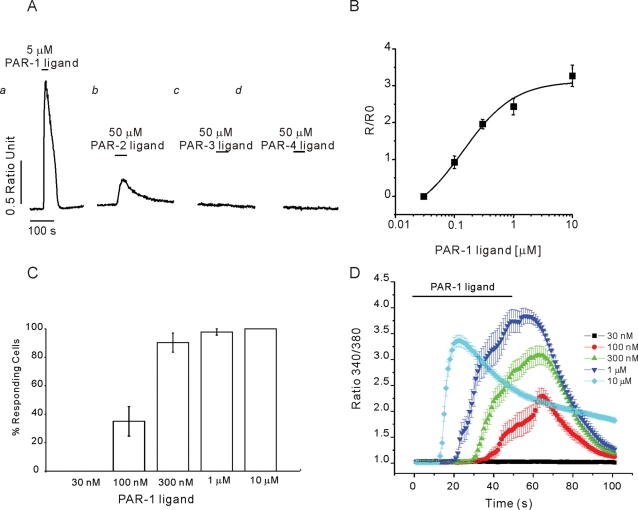 FIGURE 5: