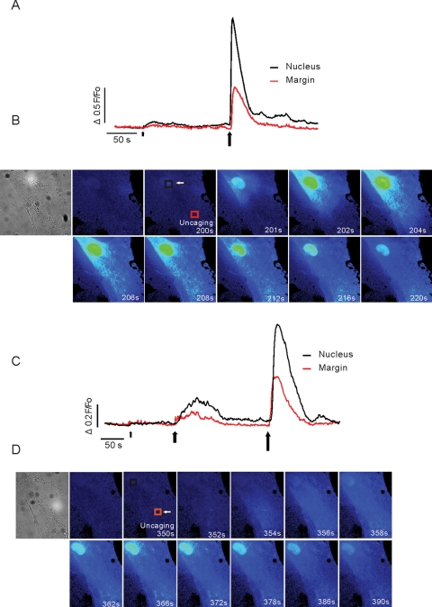 FIGURE 7: