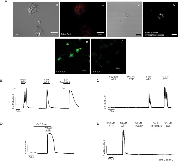 FIGURE 1: