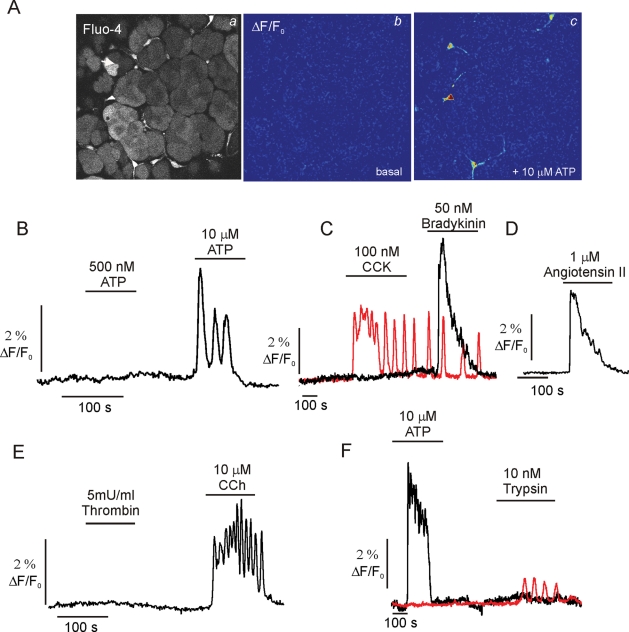 FIGURE 4: