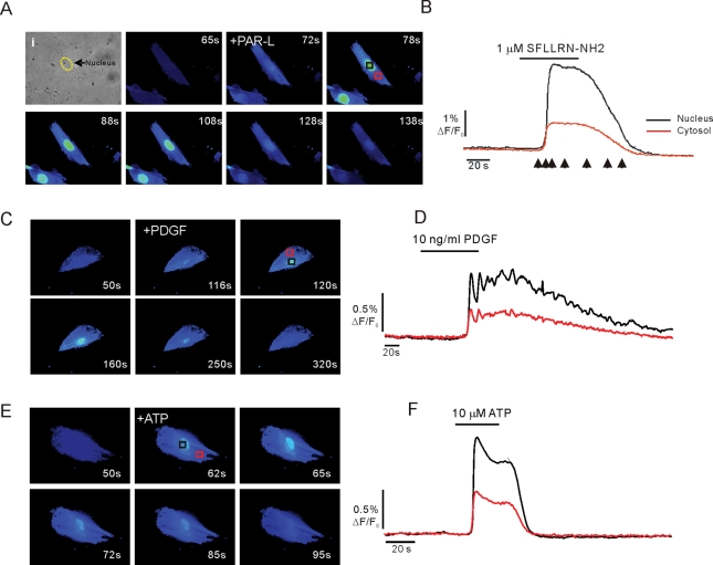 FIGURE 6: