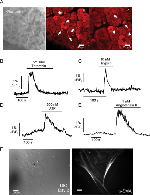 FIGURE 10: