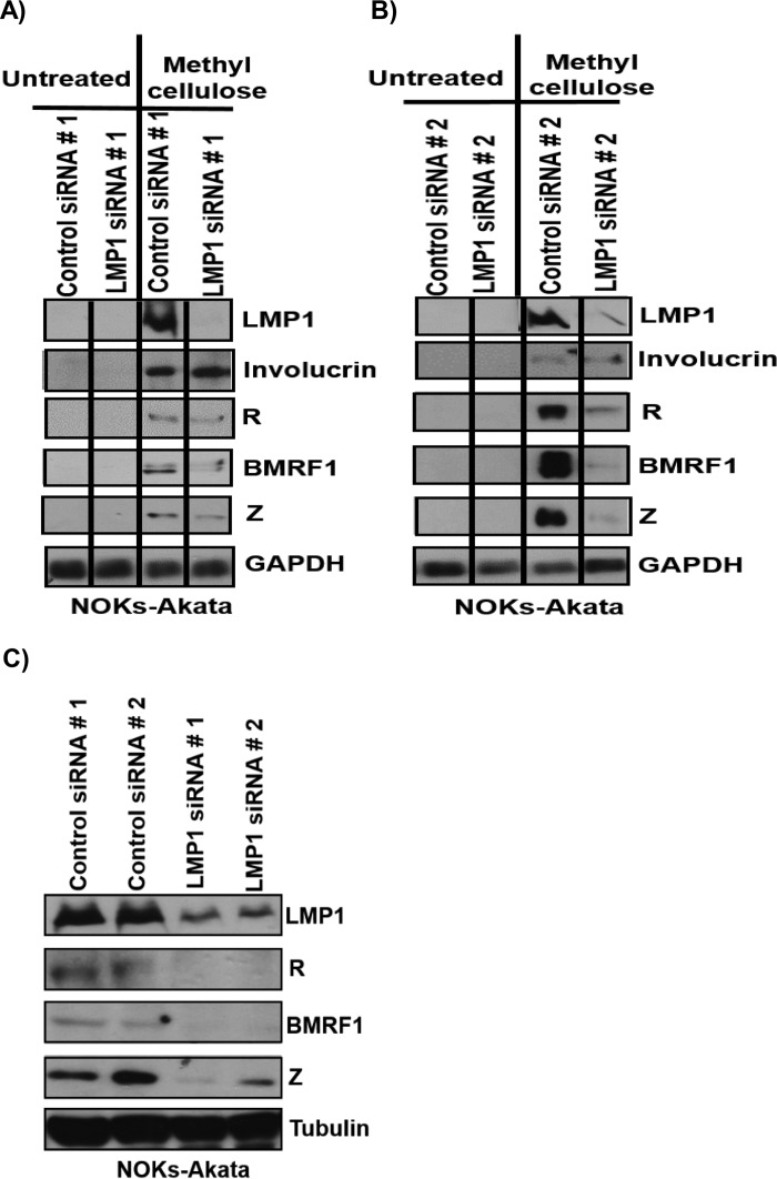 FIG 3