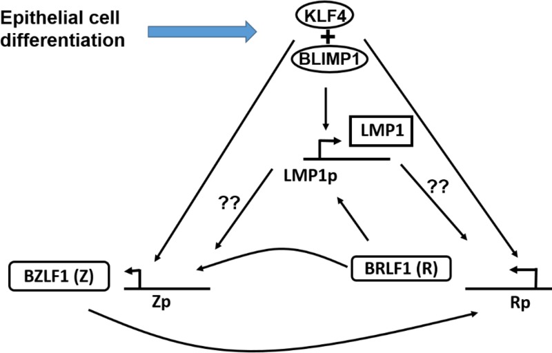 FIG 9