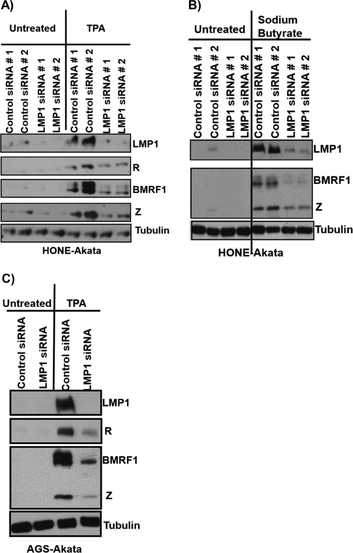 FIG 4