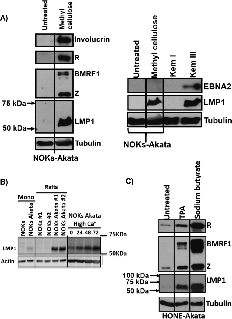 FIG 1