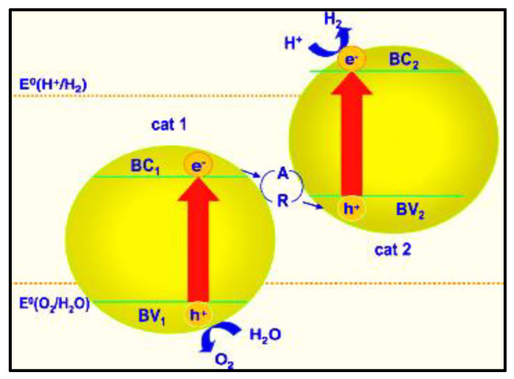 Figure 8