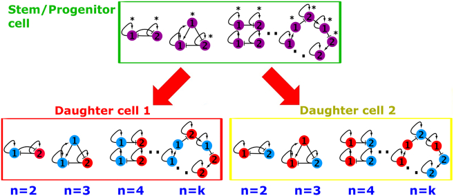 Figure 1