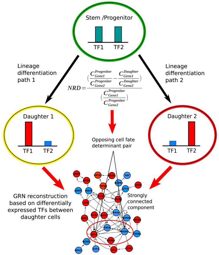 Figure 2