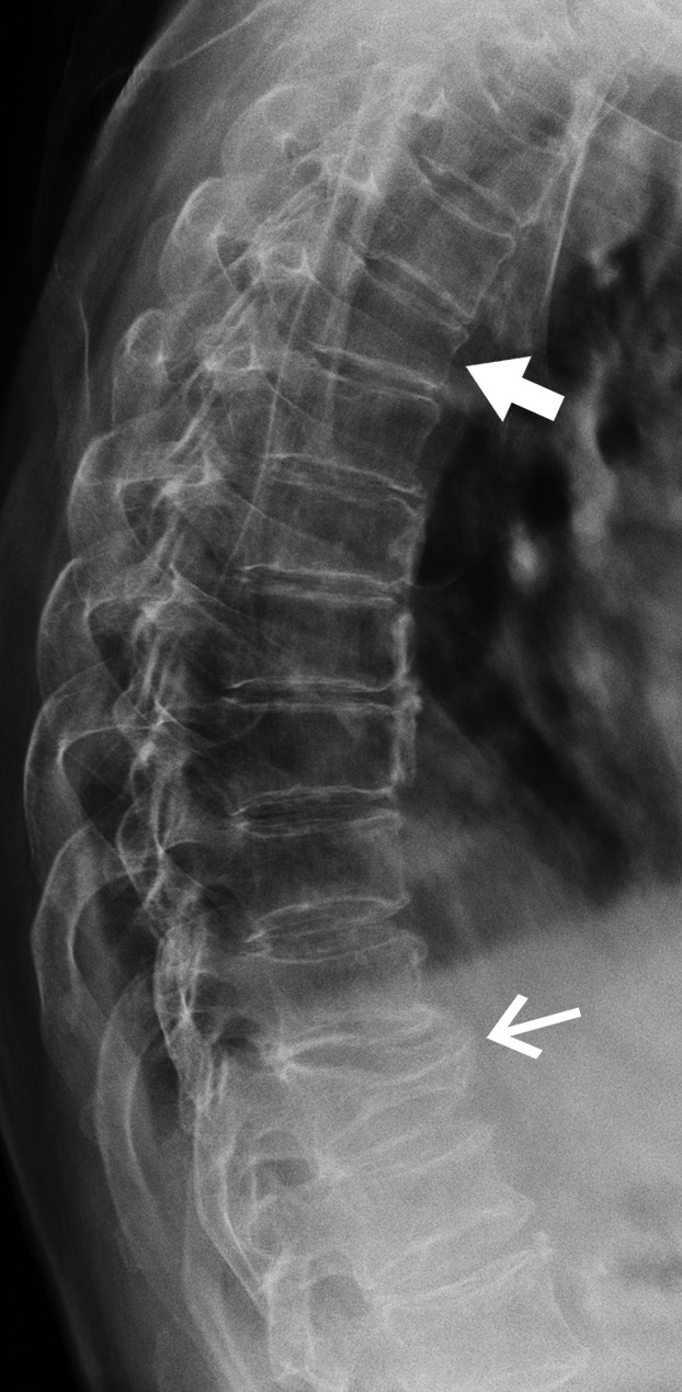 Figure 8