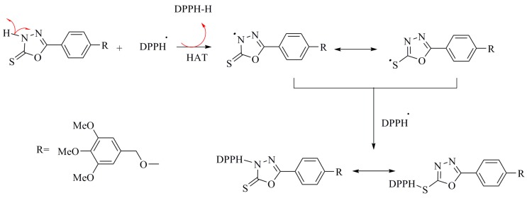 Scheme 5