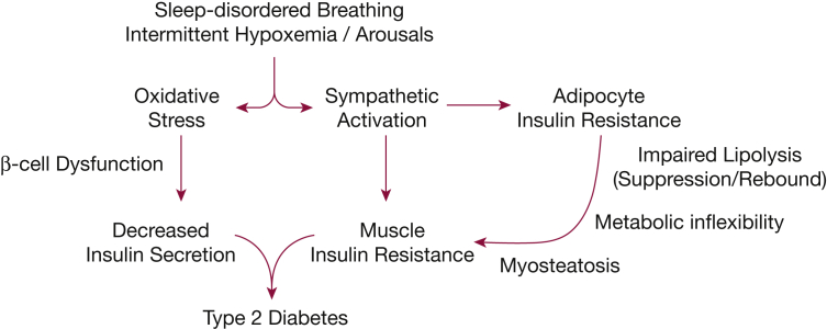 Figure 6